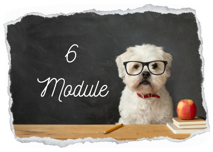 6 module