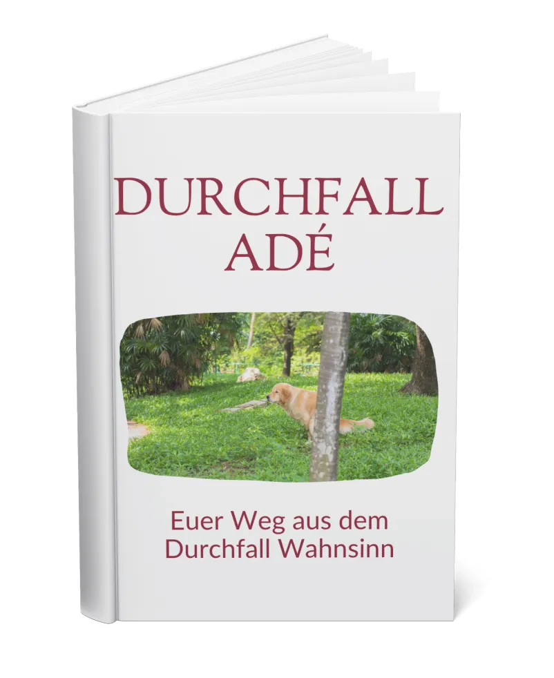 Mockup Durchfall Adé